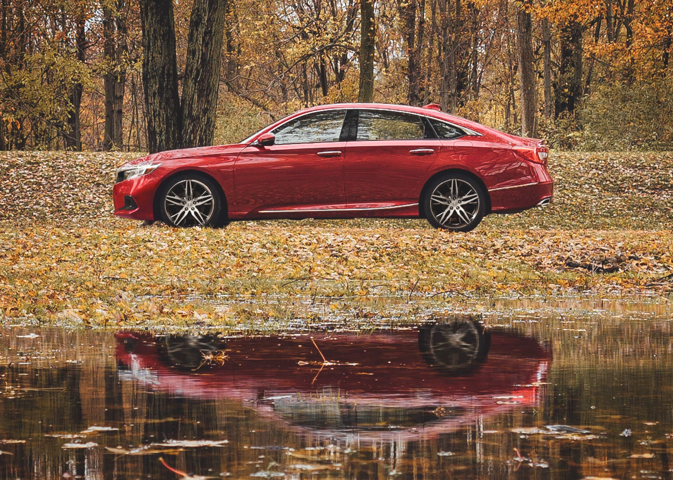 Driver-side profile view of the 2022 Honda Accord Touring 2.0T, shown in Radiant Red Metallic, stopped on a park drive next to a pond during autumn.